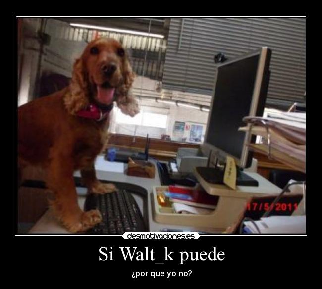 carteles walt perro poder computadora desmotivaciones