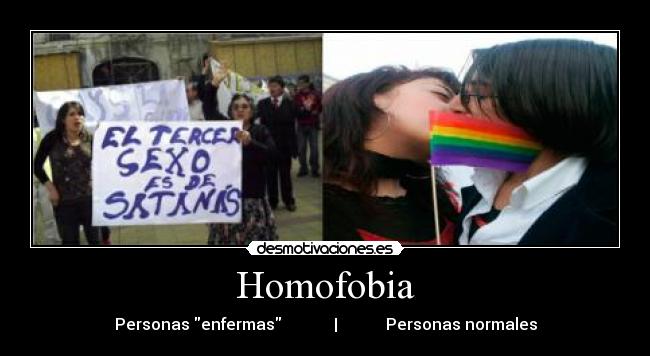 Homofobia - 