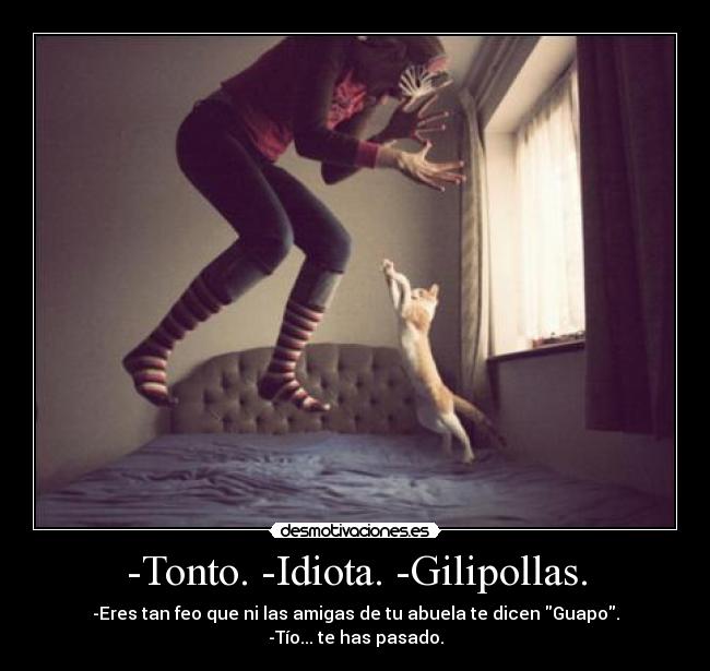 carteles abuelas desmotivaciones