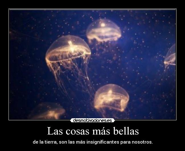 Las cosas más bellas - 