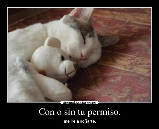 Con o sin tu permiso, - 