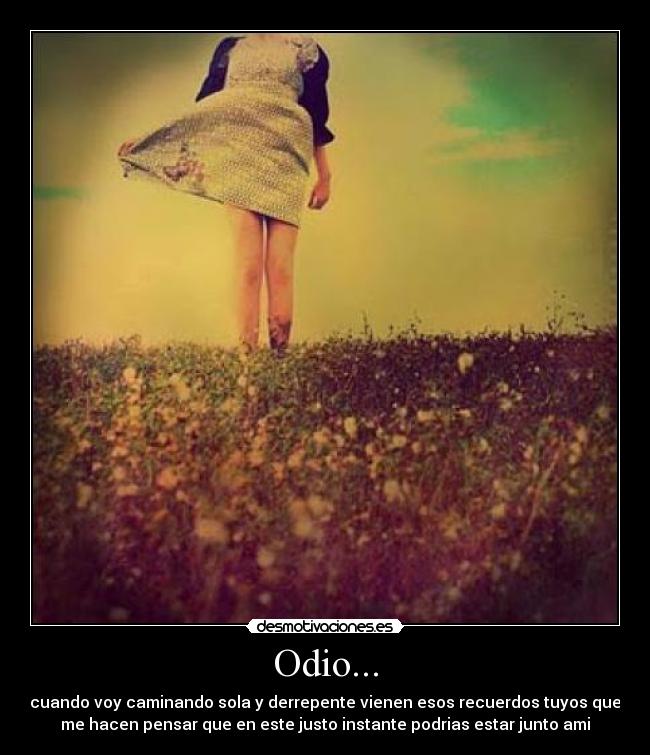 Odio... - 