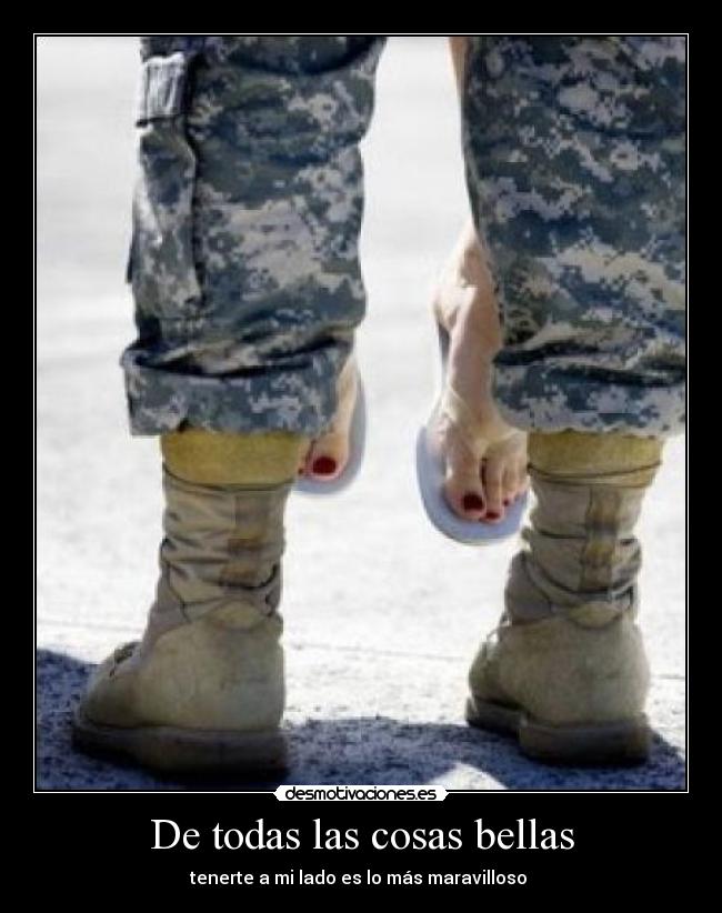 De todas las cosas bellas -