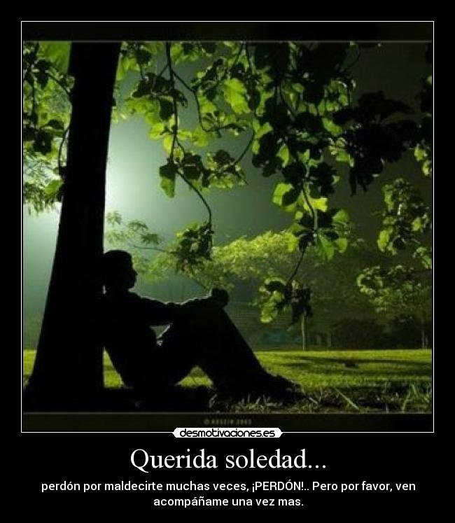 Querida soledad... -