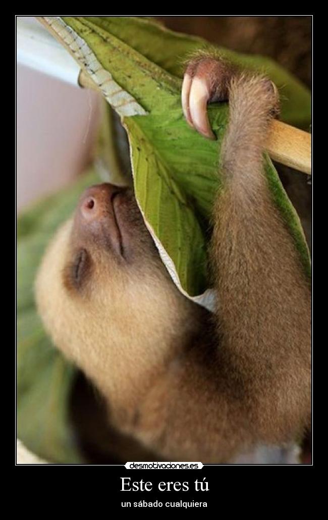 carteles desmotivaciones