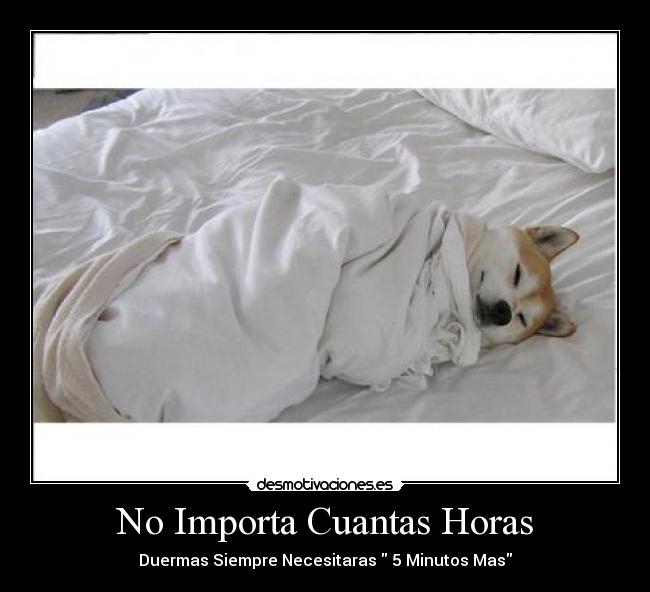 No Importa Cuantas Horas -