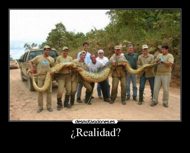 ¿Realidad? -
