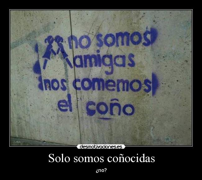Solo somos coñocidas - 