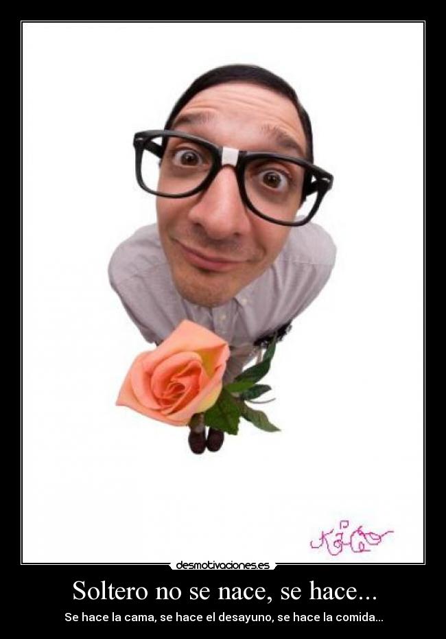 Soltero no se nace, se hace... - 
