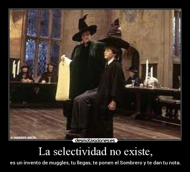 carteles selectivada desmotivaciones