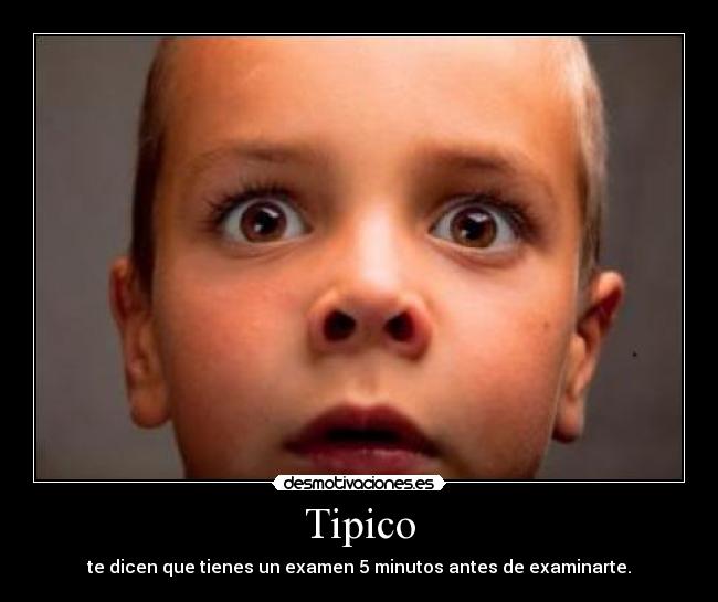 Tipico - 
