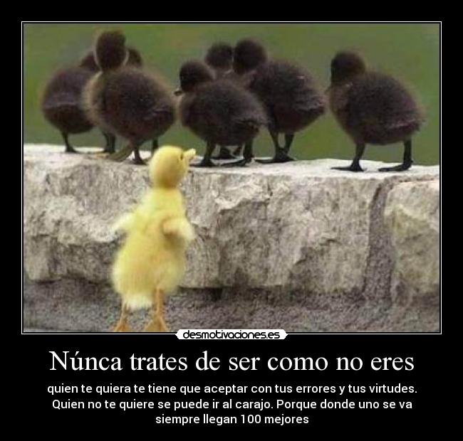 Núnca trates de ser como no eres - quien te quiera te tiene que aceptar con tus errores y tus virtudes.
Quien no te quiere se puede ir al carajo. Porque donde uno se va
siempre llegan 100 mejores