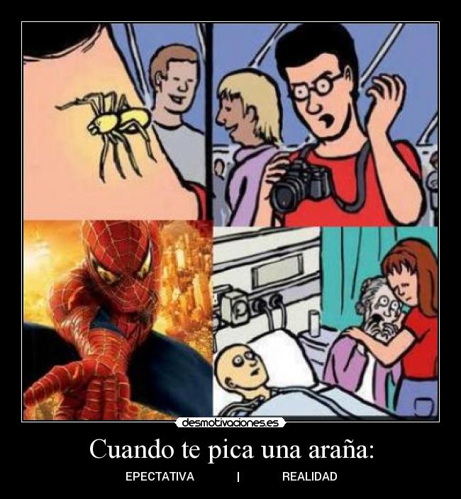 Cuando te pica una araña: -