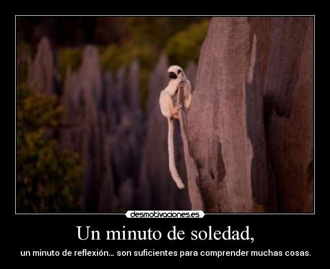 Un minuto de soledad, - un minuto de reflexión… son suficientes para comprender muchas cosas.