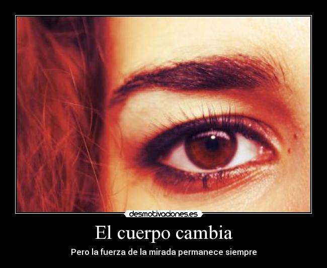 carteles aprendido por fuerza desmotivaciones