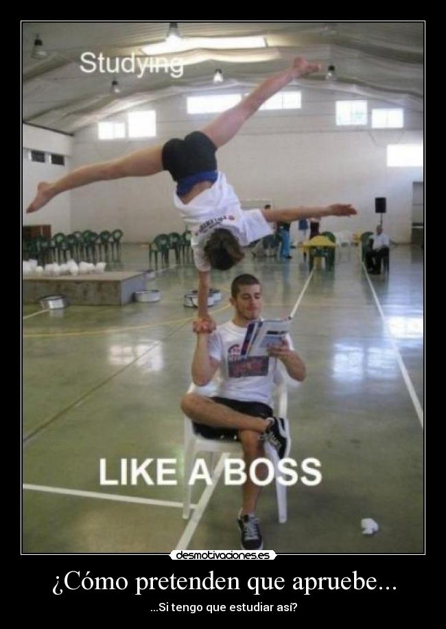 ¿Cómo pretenden que apruebe... -
