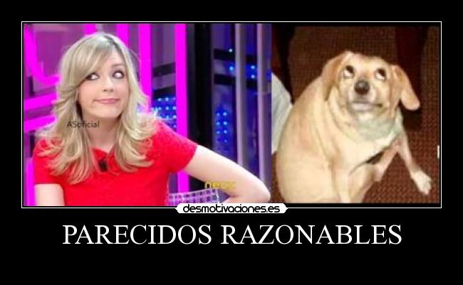 PARECIDOS RAZONABLES -