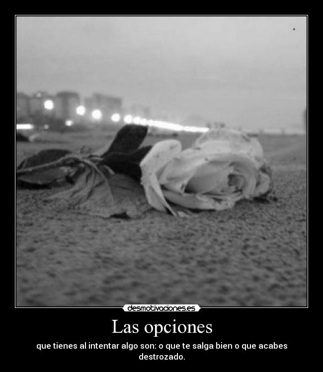 Las opciones -