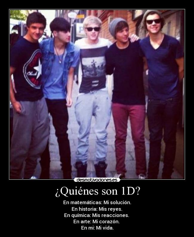 ¿Quiénes son 1D? -