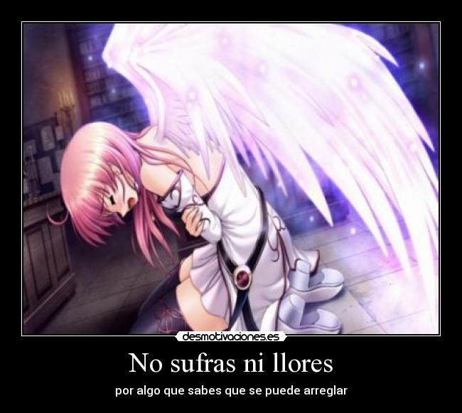 No sufras ni llores -
