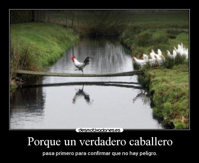 Porque un verdadero caballero - 