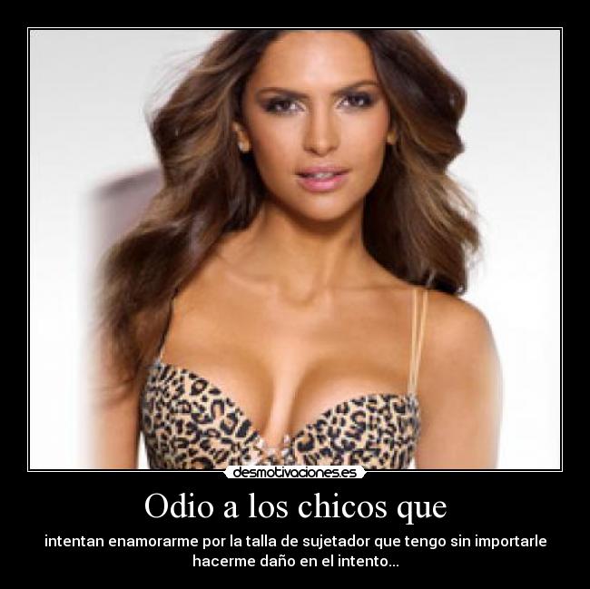 Odio a los chicos que - intentan enamorarme por la talla de sujetador que tengo sin importarle
hacerme daño en el intento...