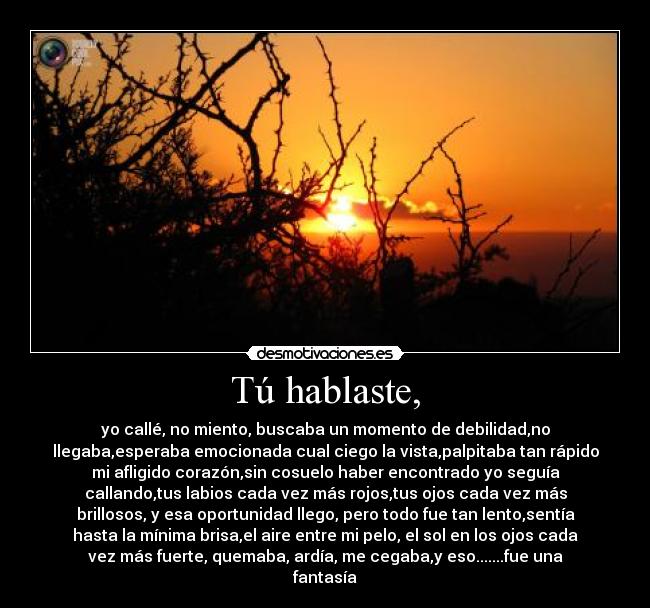 Tú hablaste, - yo callé, no miento, buscaba un momento de debilidad,no
llegaba,esperaba emocionada cual ciego la vista,palpitaba tan rápido
mi afligido corazón,sin cosuelo haber encontrado yo seguía
callando,tus labios cada vez más rojos,tus ojos cada vez más
brillosos, y esa oportunidad llego, pero todo fue tan lento,sentía
hasta la mínima brisa,el aire entre mi pelo, el sol en los ojos cada
vez más fuerte, quemaba, ardía, me cegaba,y eso.......fue una
fantasía