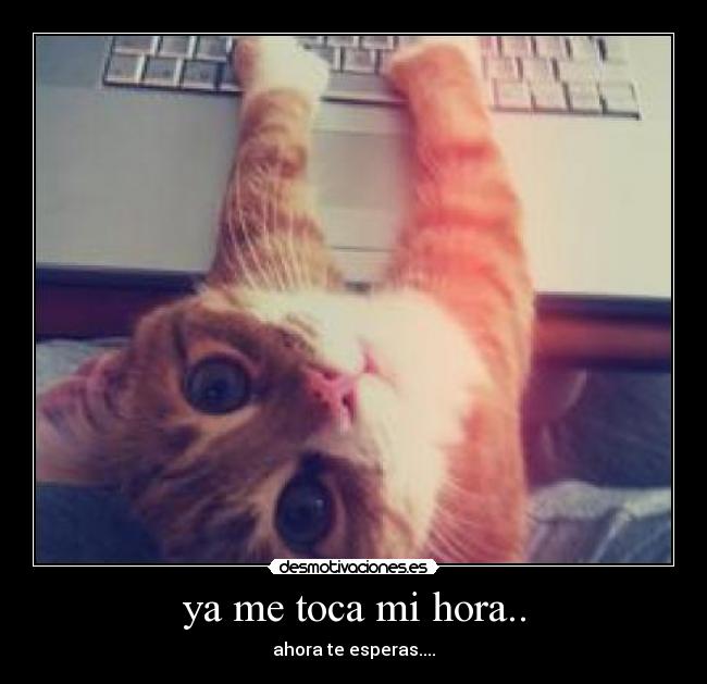 carteles lol desmotivaciones