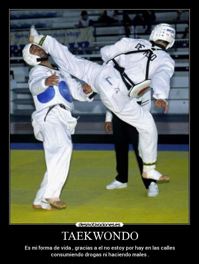 TAEKWONDO - Es mi forma de vida , gracias a el no estoy por hay en las calles
consumiendo drogas ni haciendo males .