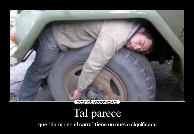 Tal parece - que dormir en el carro tiene un nuevo significado