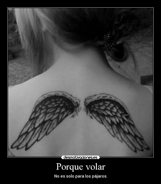 Porque volar - No es solo para los pájaros.