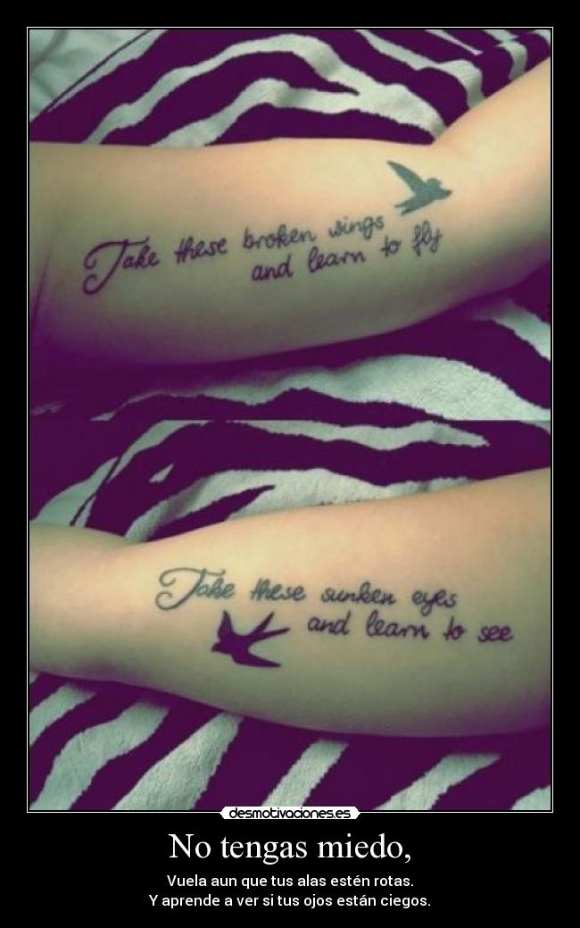 No tengas miedo, -