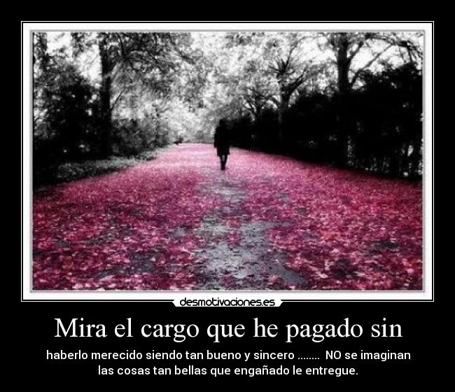 Mira el cargo que he pagado sin - haberlo merecido siendo tan bueno y sincero ........ NO se imaginan
las cosas tan bellas que engañado le entregue.