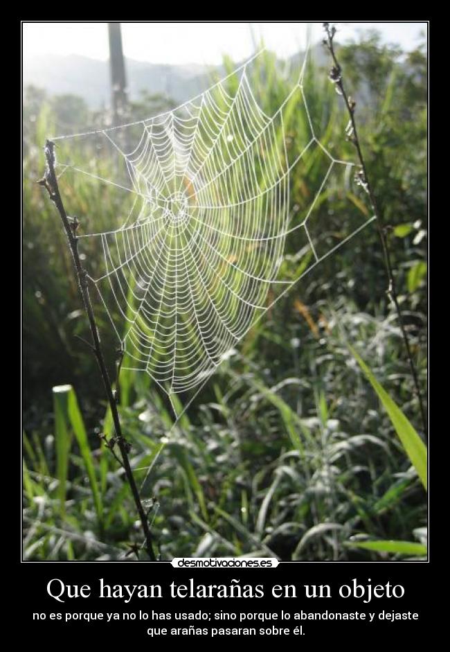 Que hayan telarañas en un objeto - no es porque ya no lo has usado; sino porque lo abandonaste y dejaste
que arañas pasaran sobre él.