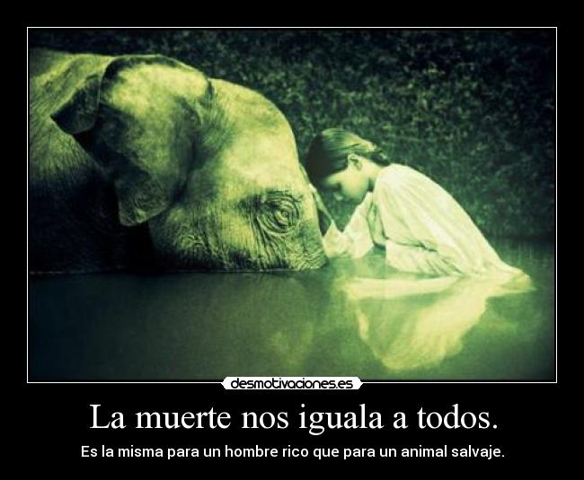 La muerte nos iguala a todos. - Es la misma para un hombre rico que para un animal salvaje.