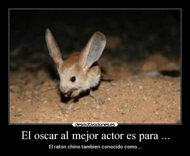 El oscar al mejor actor es para ... - El raton chino tambien conocido como....