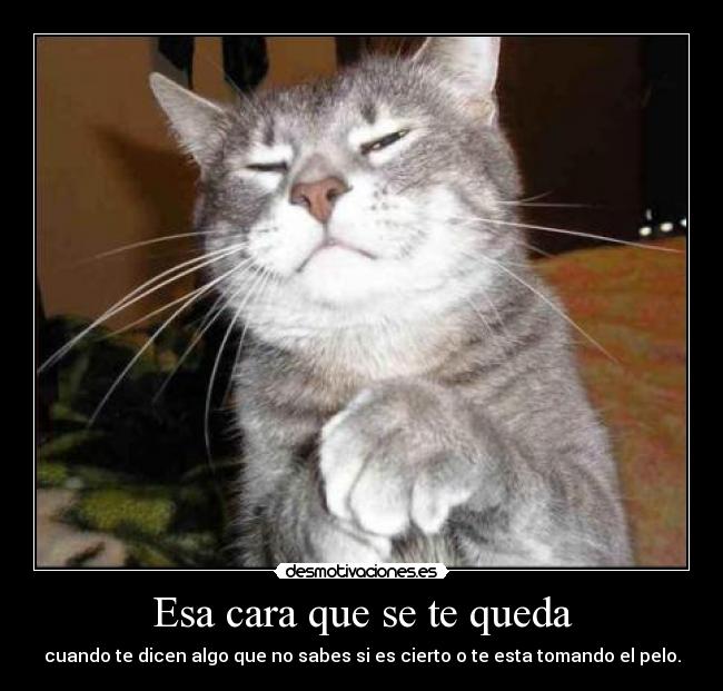 Esa cara que se te queda - cuando te dicen algo que no sabes si es cierto o te esta tomando el pelo.