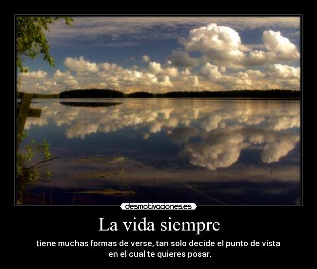 La vida siempre - tiene muchas formas de verse, tan solo decide el punto de vista
 en el cual te quieres posar.