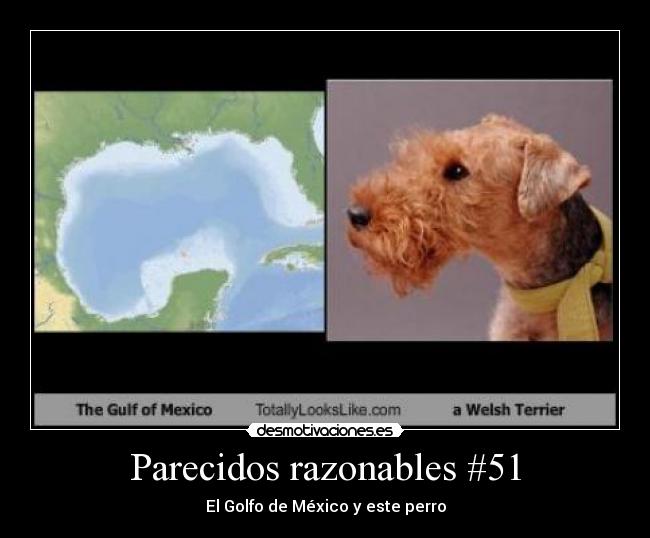 Parecidos razonables #51 - 