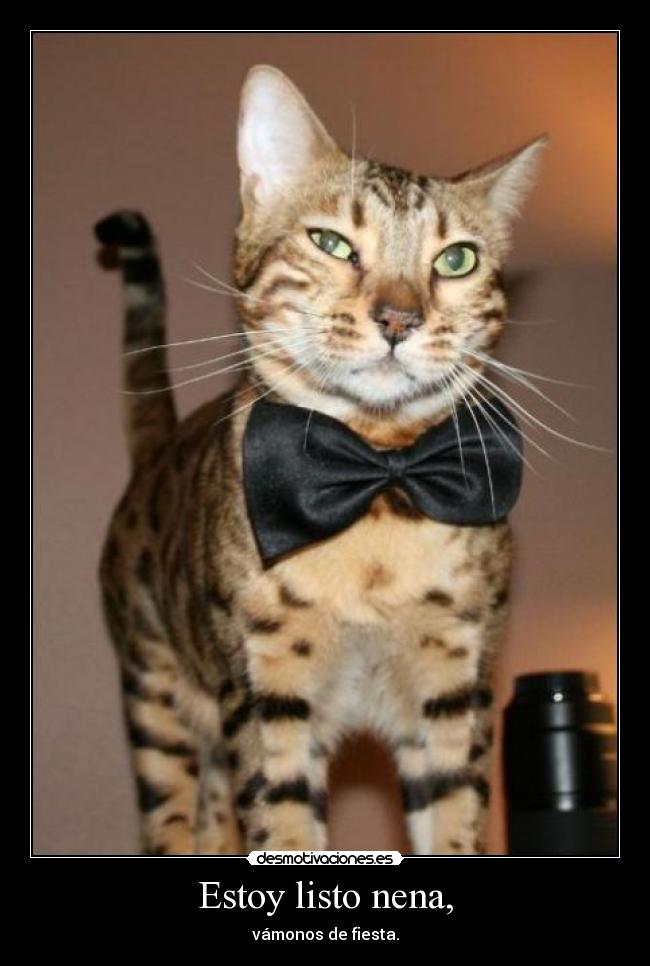 Estoy listo nena, -