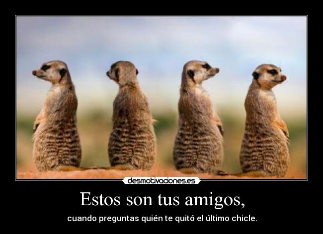 Estos son tus amigos, - cuando preguntas quién te quitó el último chicle.