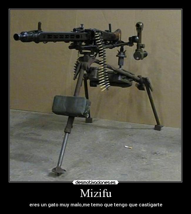 Mizifu - eres un gato muy malo,me temo que tengo que castigarte