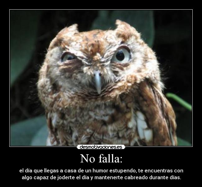 No falla: - el día que llegas a casa de un humor estupendo, te encuentras con
algo capaz de joderte el día y mantenerte cabreado durante días.