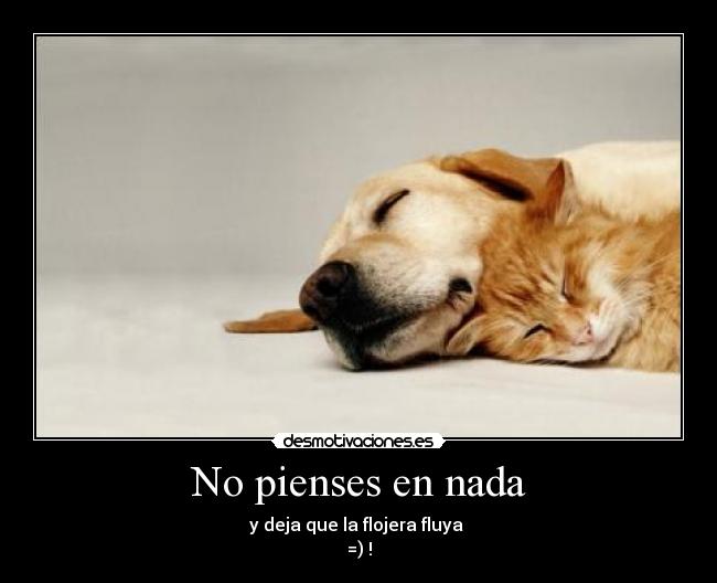 No pienses en nada - y deja que la flojera fluya 
=) !