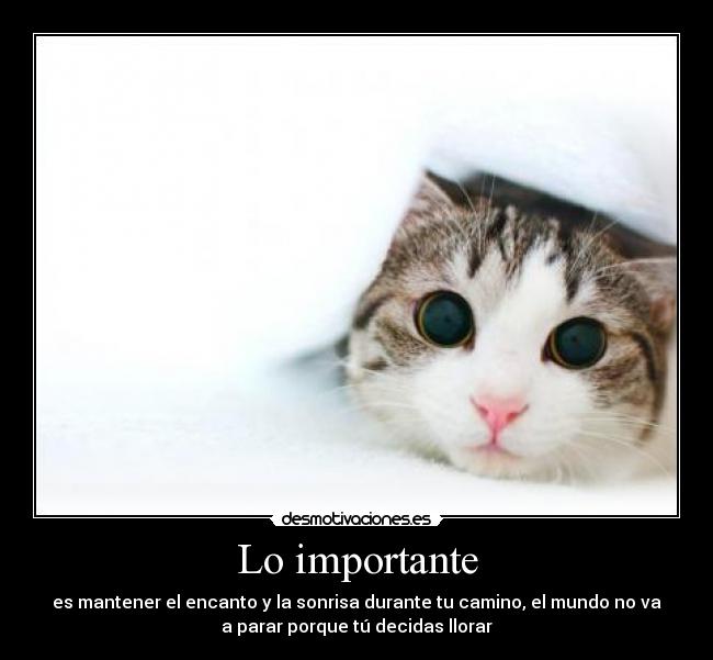 Lo importante - es mantener el encanto y la sonrisa durante tu camino, el mundo no va
a parar porque tú decidas llorar