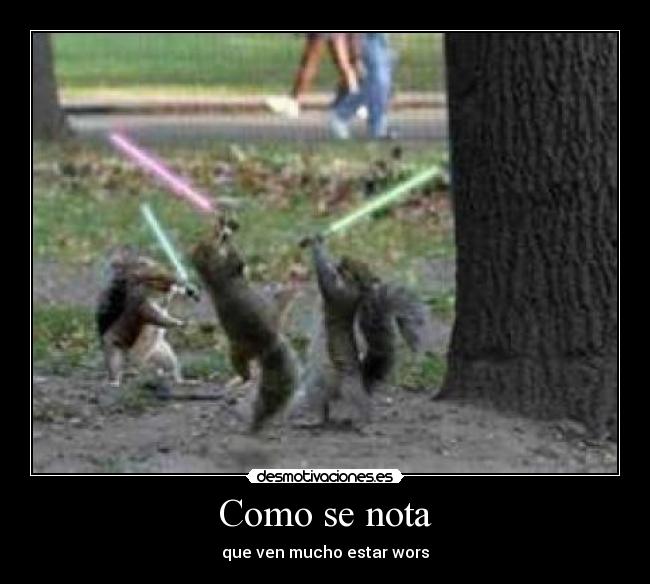 Como se nota - que ven mucho estar wors