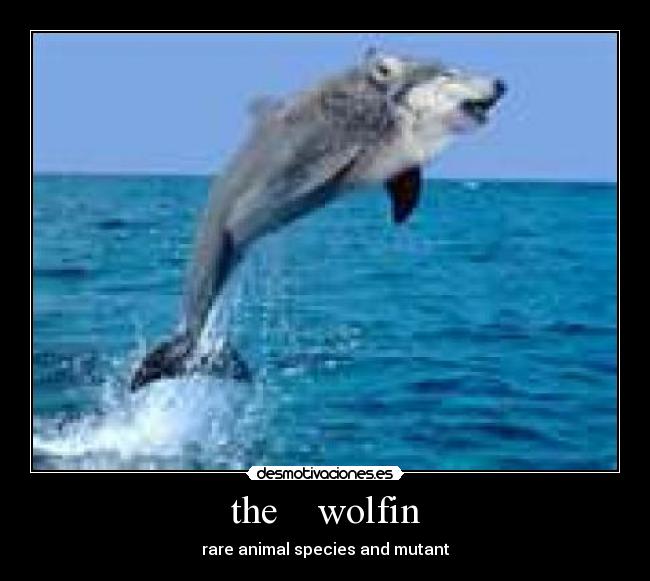 the    wolfin - rare animal species and mutant