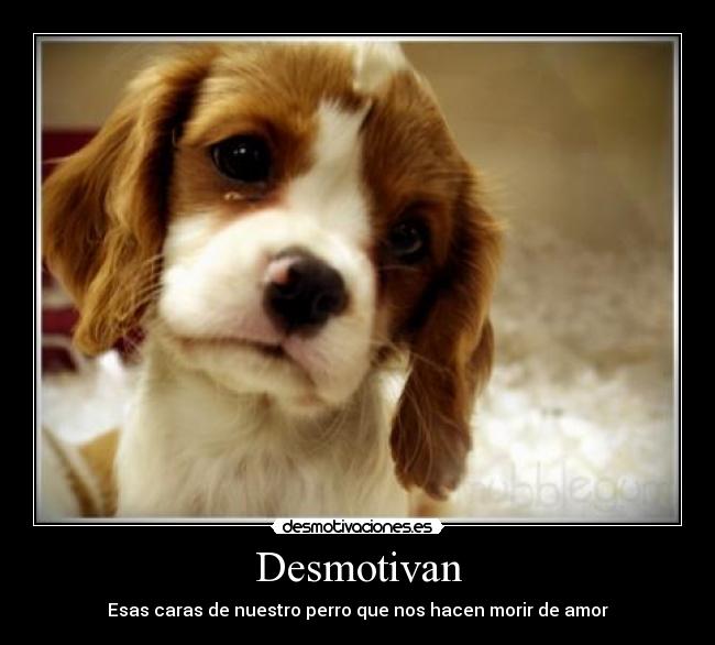 Desmotivan - 