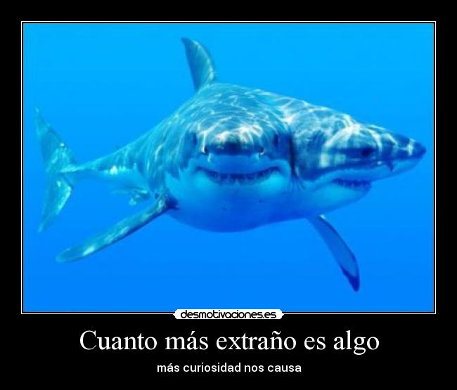 carteles  desmotivaciones