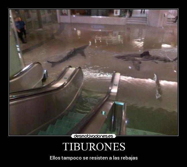 TIBURONES -